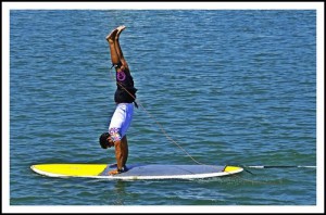 Biarritz Shop Surf